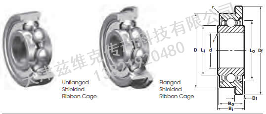 NHBB SSRI-418ZZEE 深溝球軸承圖紙